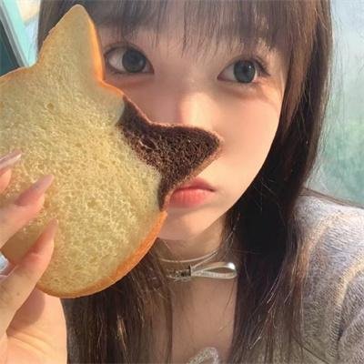 总统特务2